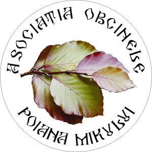 Asociatia OBend-p19qce8g5ak5epkq13mcfv2pj5